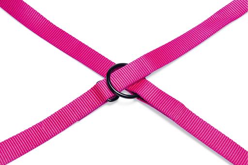 Actual product image Karlie Art Sportiv Plus Leash new universal colors Mix and Match (M, Dog, Walks)