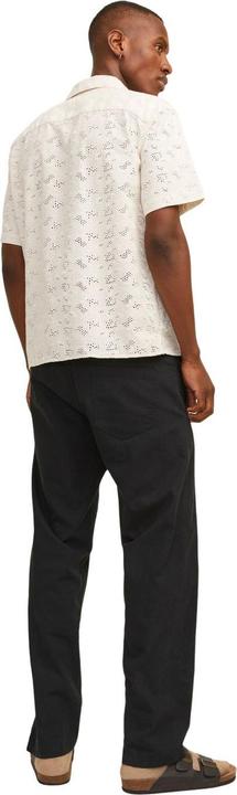 Actual product image Jack & Jones Jpstkane Jjsummer Jogger Sn (L)