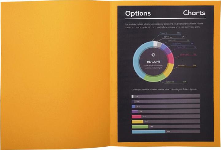 Immagine prodotto Exacompta Scrapbook - Copertine di file (A4, 10 x)