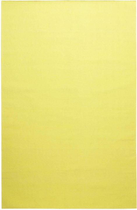 Immagine prodotto Green Looop Nizza (200 x 290 cm)