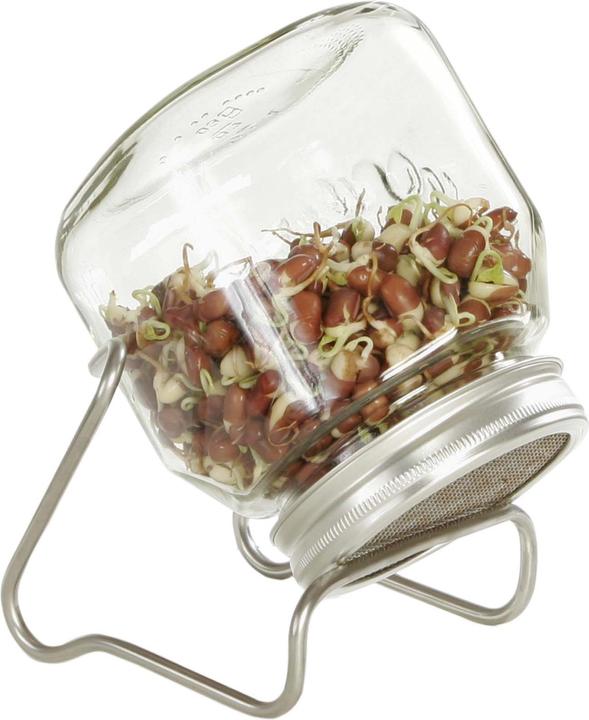 Produktbild Eschenfelder Sprossenglas