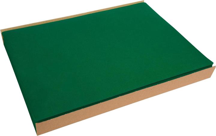 Actual product image Exacompta Placemats Spunbond F ir Grn, 30x40, Pk100 (30 x 40 cm)