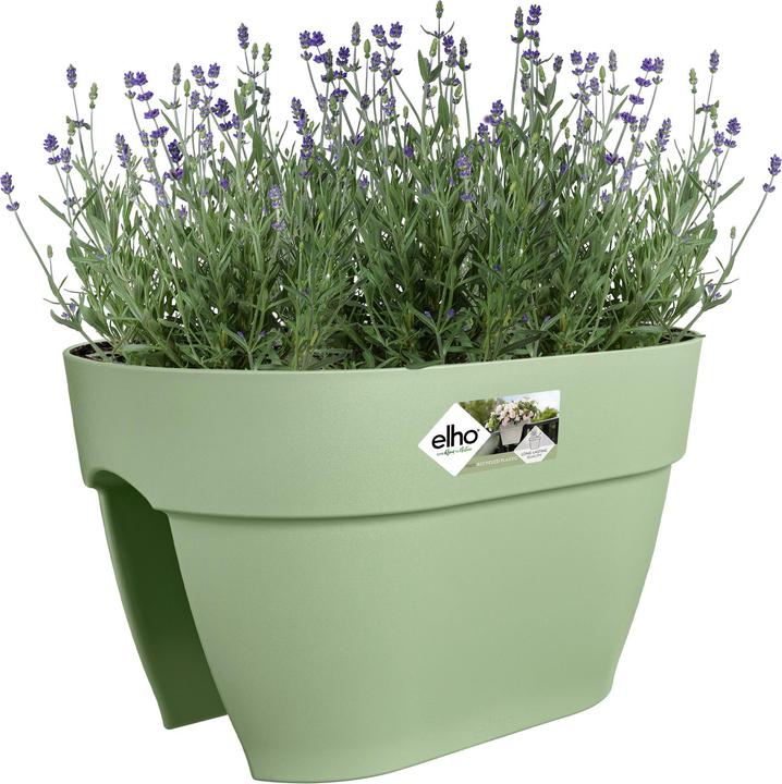 Produktbild Elho Vibia Campana Flower Bridge (26 cm)