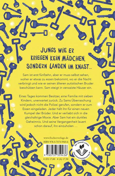 Actual product image The Boy Who Steals Houses: The Girl Who Steals His Heart (German, C. G. Drews, Britta Keil, 2022)