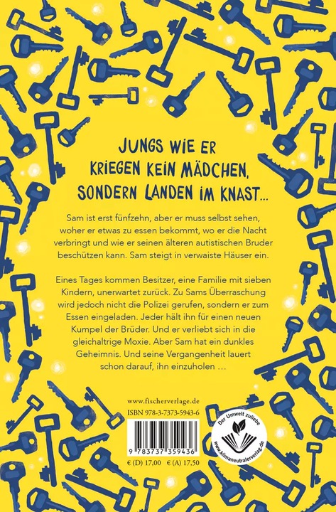 Actual product image The Boy Who Steals Houses: The Girl Who Steals His Heart (German, C. G. Drews, Britta Keil, 2022)
