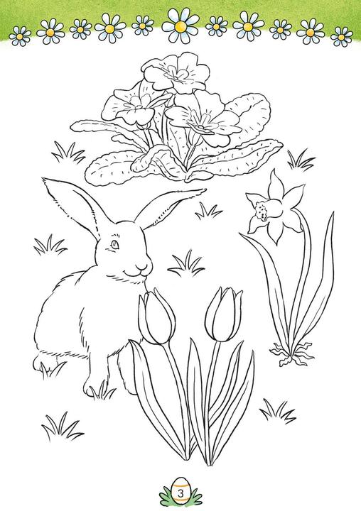 Produktbild Conni Gelbe Reihe (Beschäftigungsbuch): Ausmalspass für die Oster- und Frühlingszeit