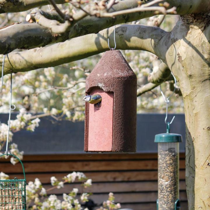 Immagine prodotto Schwegler Foro del nido