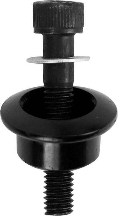 Actual product image Avizar Fork mounting bolt
