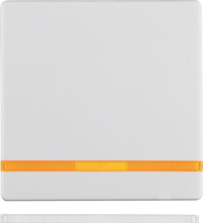 Produktbild Berker Wippe