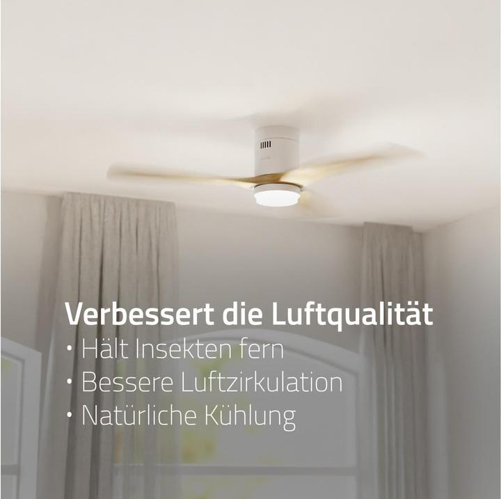 Produktbild Hombli Deckenventilator mit Licht (43 dB)