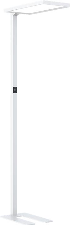 Produktbild Dotlux LED-Stehleuchte ROOFbutler (8800 lm)