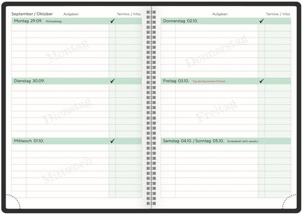 Actual product image Schlerkalender Planlos 2025/2026 (A5, German)