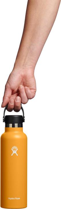 Produktbild Hydro Flask 21 oz Standard Mouth (0.62 l)