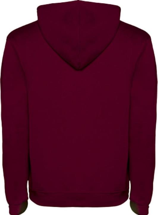 Produktbild Alpinia Urban Kapuzenpullover (XS)