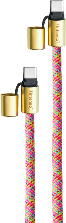 Image du produit Intenso Handykette als Lade- + Datenkabel USB-C bis 1,65m neon mix (1.65 m, USB 2.0, 60 W)