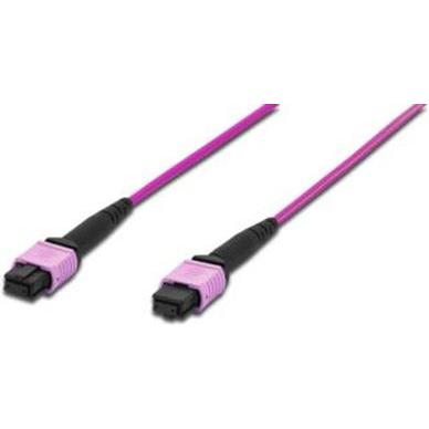 Thumbnail - Digitus FO Cable 50/125µ. OM4. MPO/MPO Female 5.0m (S/FTP, CAT6, 5 m), Netzwerkkabel