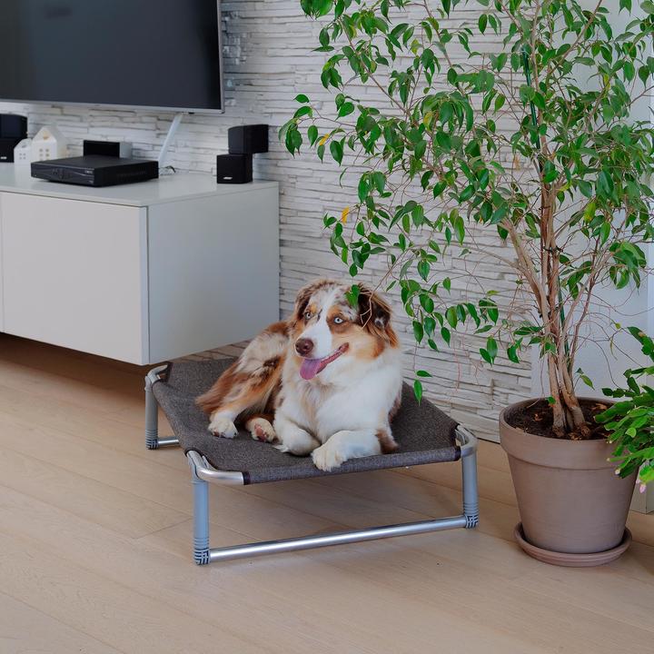 Image du produit Ferplast Rêve (Chien)