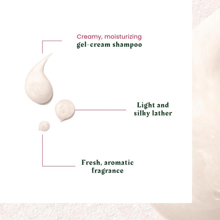 Produktbild Rene Furterer Neopur Shampoo trockene Schuppen (150 ml, Flüssiges Shampoo)