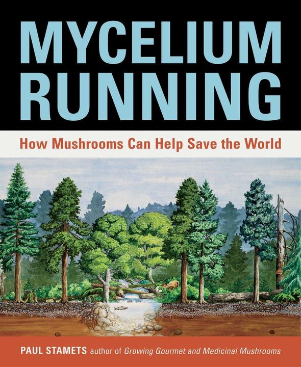 Produktbild Mycelium Running (Englisch, Paul Stamets, 2005)