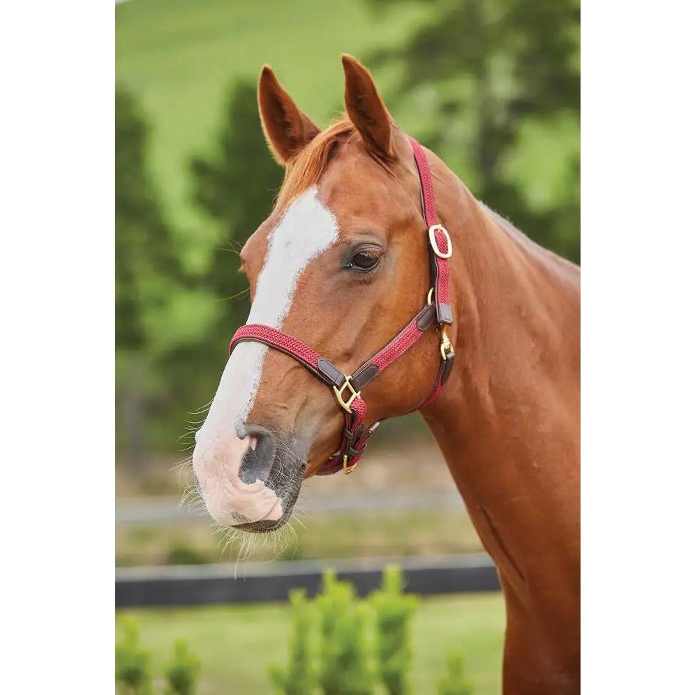 Kincade, Halfter