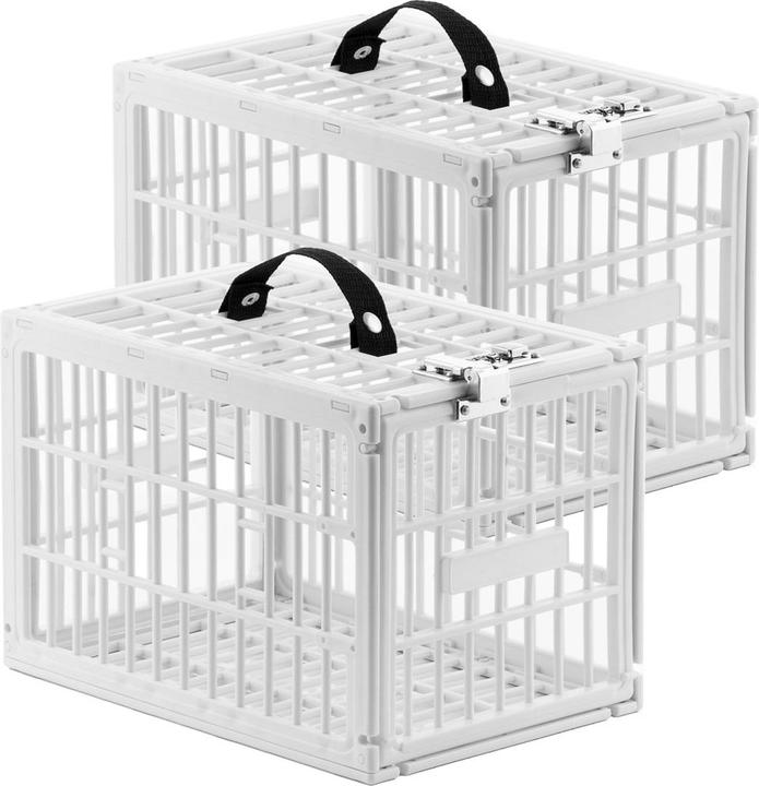 Casativo 2er-Set Kühlschrankboxen mit Zahlenschloss
