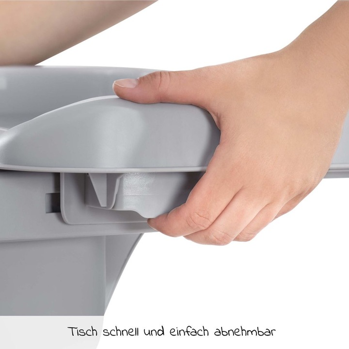 Actual product image Hauck alpha tray