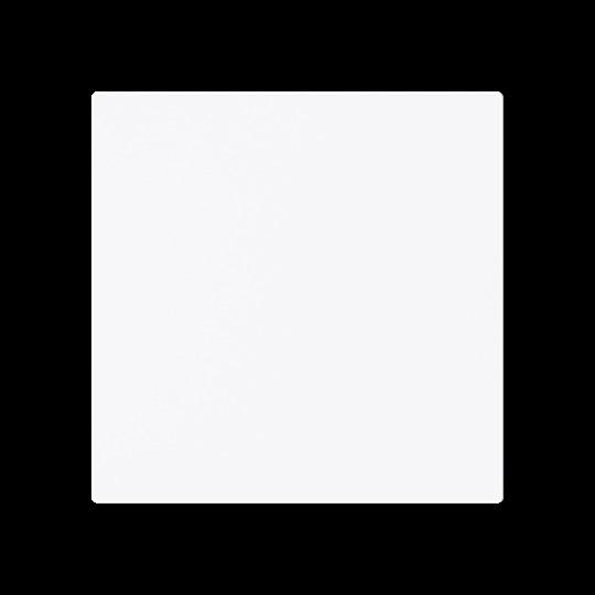 Actual product image Busch-Jaeger Rocker 1-fold Smart Switch