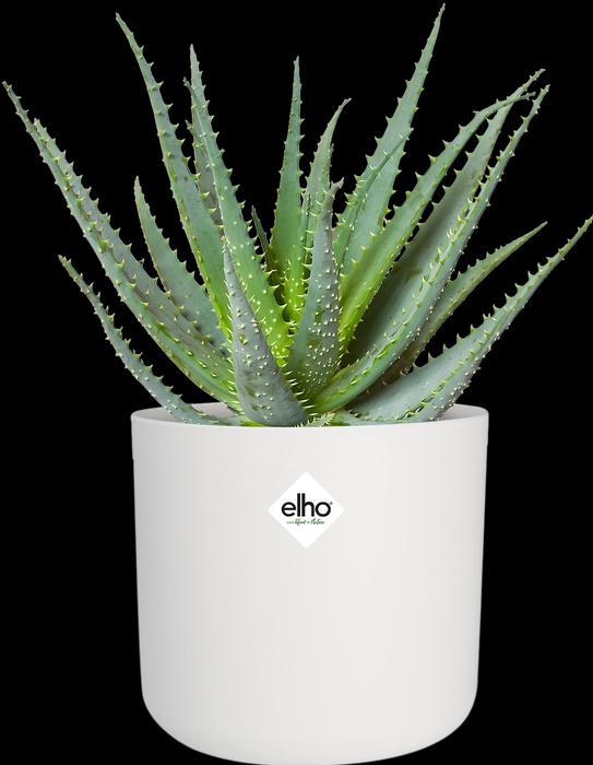 Actual product image Elho b.for soft (13.80 cm)