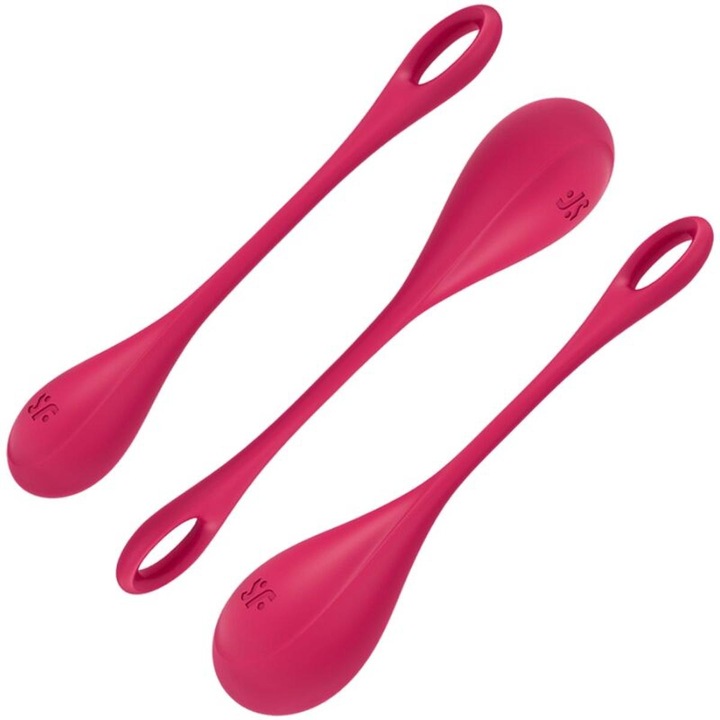 Actual product image Satisfyer Yoni Power 1