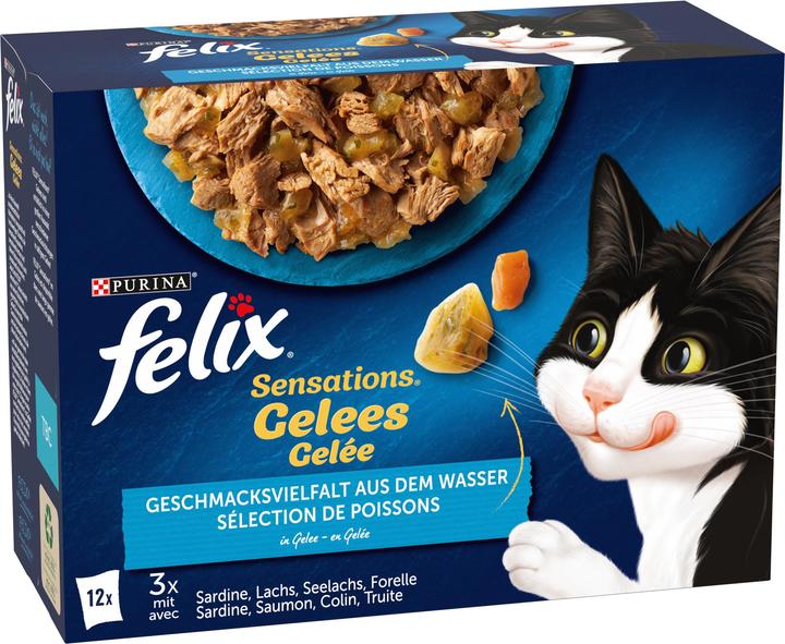 Felix Gelée Fisch (Adult, 12 Stk., 1160 g)