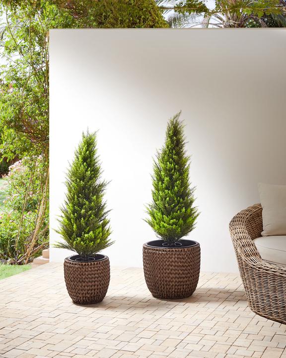 Produktbild Beliani Berberis (34 x 34 cm)