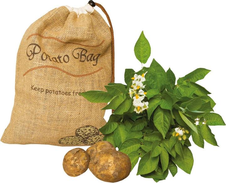 Produktbild ZIELONKA Kartoffelsack