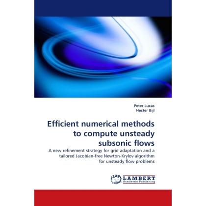 Efficient numerical methods to compute unsteady subsonic flows, Fachbücher von Hester Bijl, Peter Lucas
