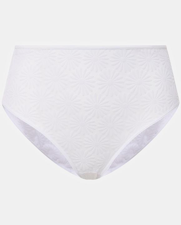 Actual product image Ulla Popken Flocked Daisy Pattern Panty (54)