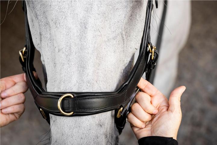 Produktbild Horseware Micklem Multi