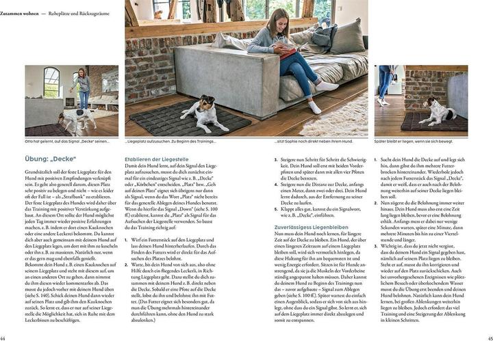 Actual product image Kosmos Hundetraining mit Martin Rütter (German, Andrea Buisman, Martin Rütter, 2022)