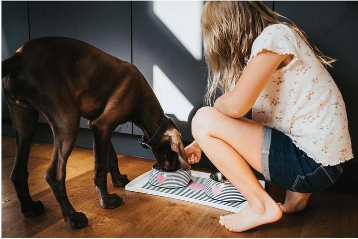 Actual product image Hunter Melamine bowl Biri (0.35 l)