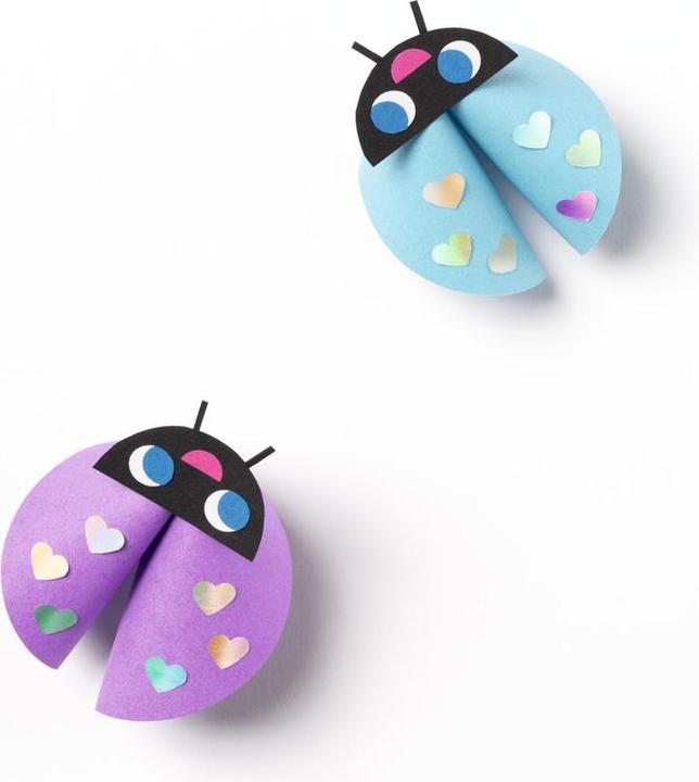 Image du produit Folia Dépliants intensifs (70 g/m², 100x)