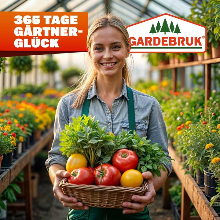 Produktbild Gardebruk Gewächshaus