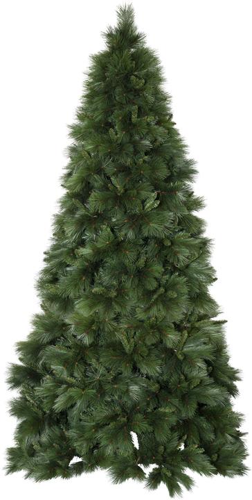 Produktbild Star Trading Cembra (300 cm)
