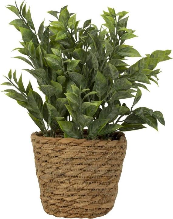 IKO Künstliche Grünpflanze im Seegrasübertopf h=28cm d (28 cm)