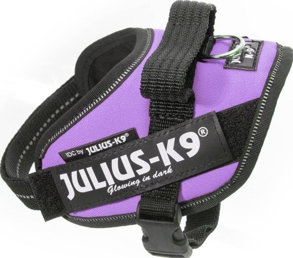 Actual product image Julius-K9 IDC power harness purple (0, Dog, General)