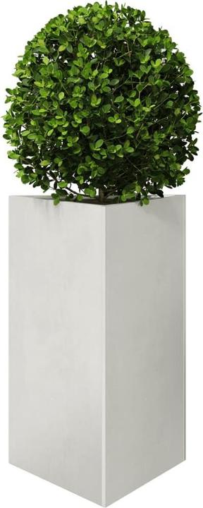 Produktbild vidaXL Pflanzkübel