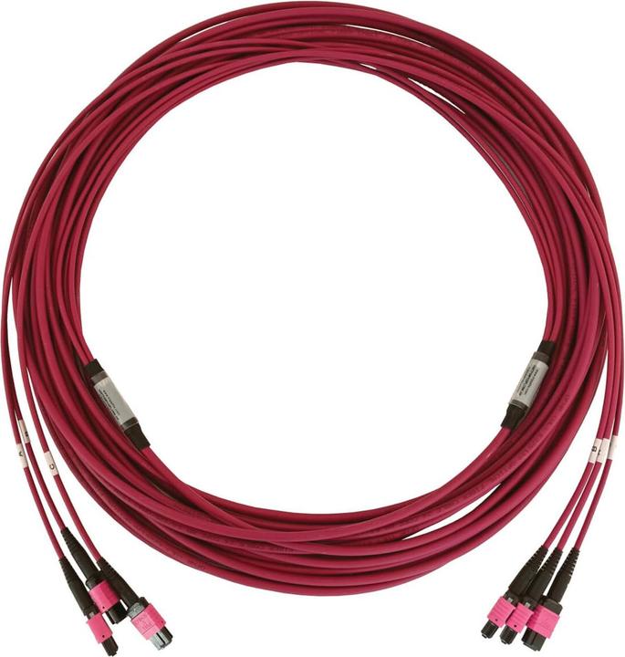 Actual product image Eaton 40/100/400G Multimode 50/125 OM4 Fibre Optic Cable 3x8F MTP/MPO-PC F/F LSZH Magenta (15 m)