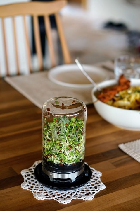 Produktbild GEFU Sprossenglas Bivita