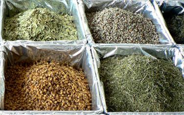 Productafbeelding Espressions Multi Waterkoker 1,8 liter rvs (1.80 l)