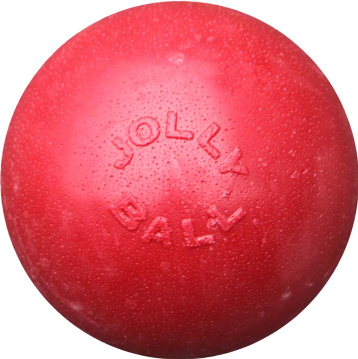 Actual product image Jolly Pets Jolly Ball Bounce-n Play 15cm Rot
