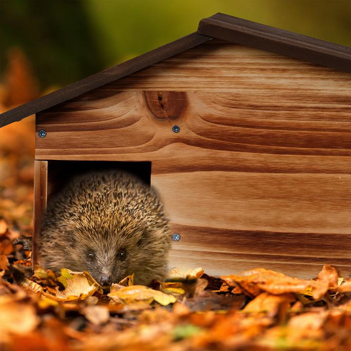 Actual product image Relaxdays Hedgehog house
