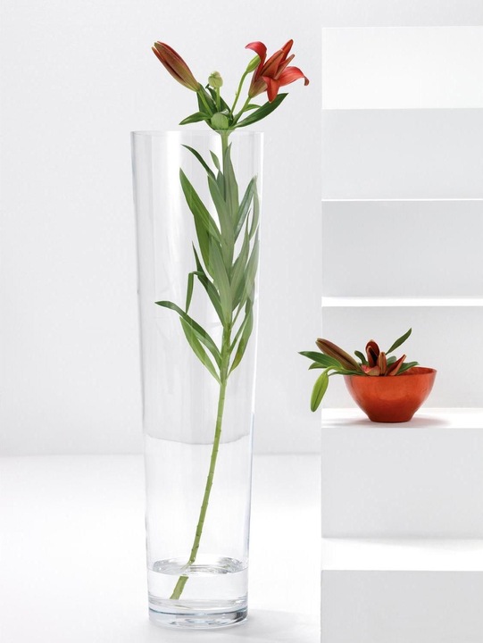 Immagine prodotto Leonardo Vaso (1 x, 20 x 20 x 71,5 cm, 28.60 l)