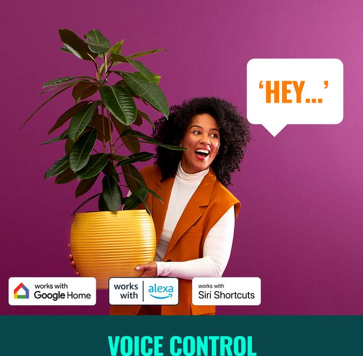 Actual product image WiZ Tunable White Color Edison (E27, 470 lm, 1x)